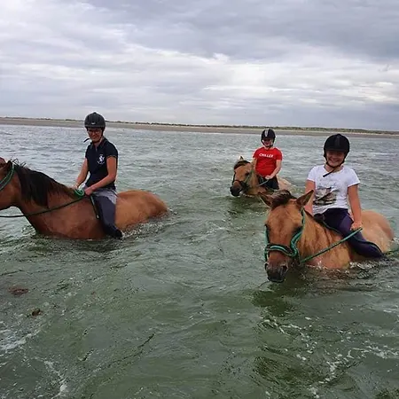 Superbe Cosy, A 50m De La Plage, 4 Pers * Фор-Маон-Плаж