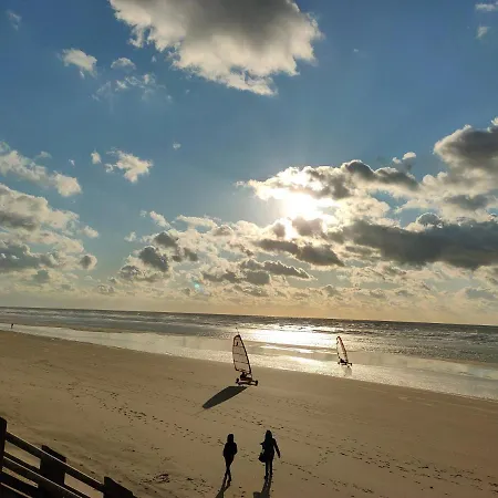 公寓 Superbe Cosy, 50m De La Plage, 4 Pers, Vue Cote *