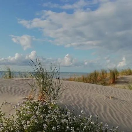 公寓 Superbe Cosy, 50m De La Plage, 4 Pers, Vue Cote 福尔马翁普拉日
